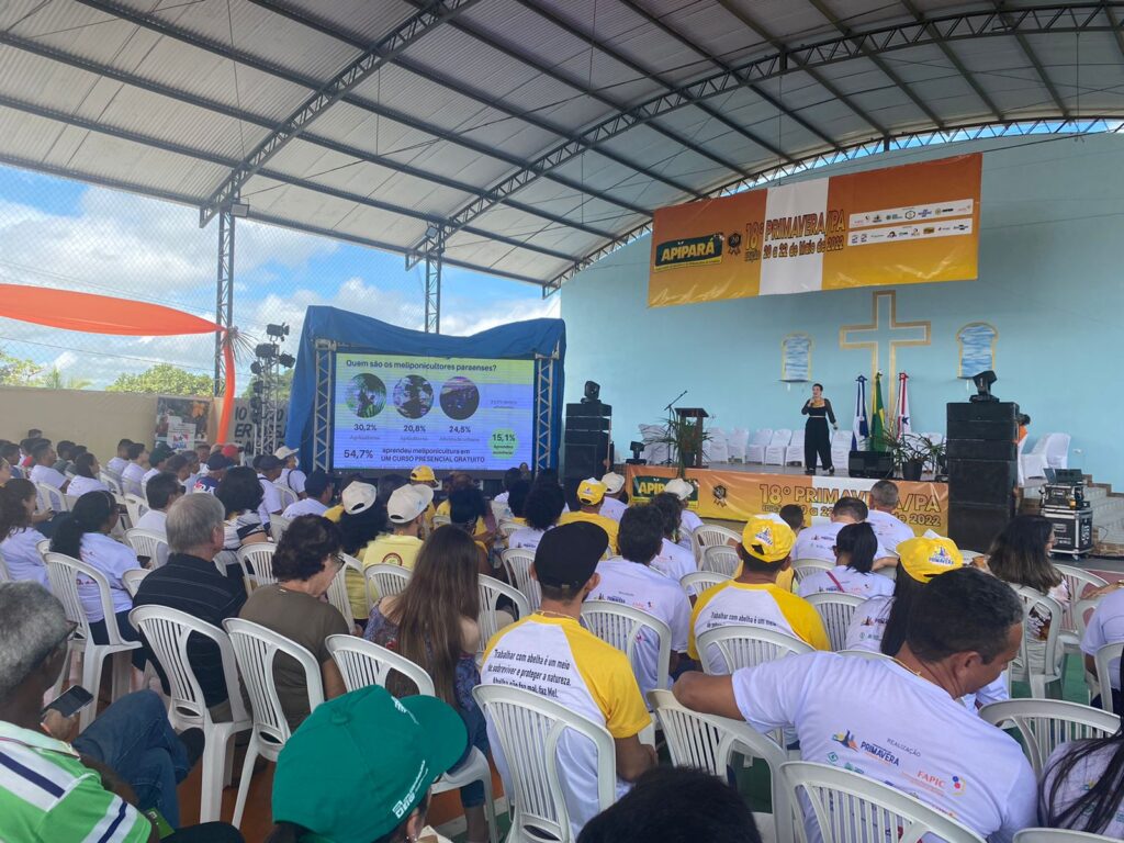 Parauapebas em clima de Natal! - Portal Pebinha de Açúcar