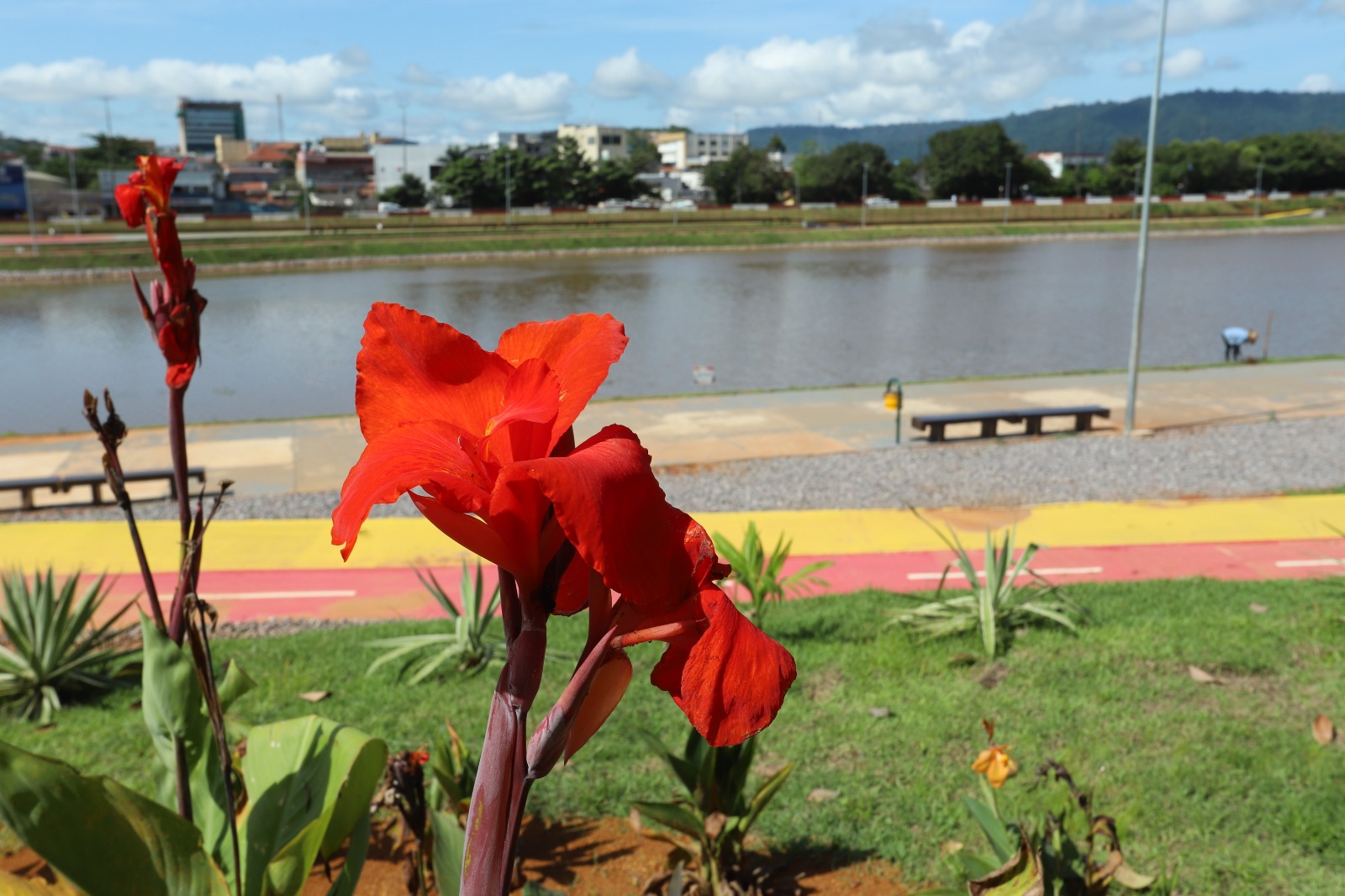 Foto: Reprodução/Prefeitura de Parauapebas - PA