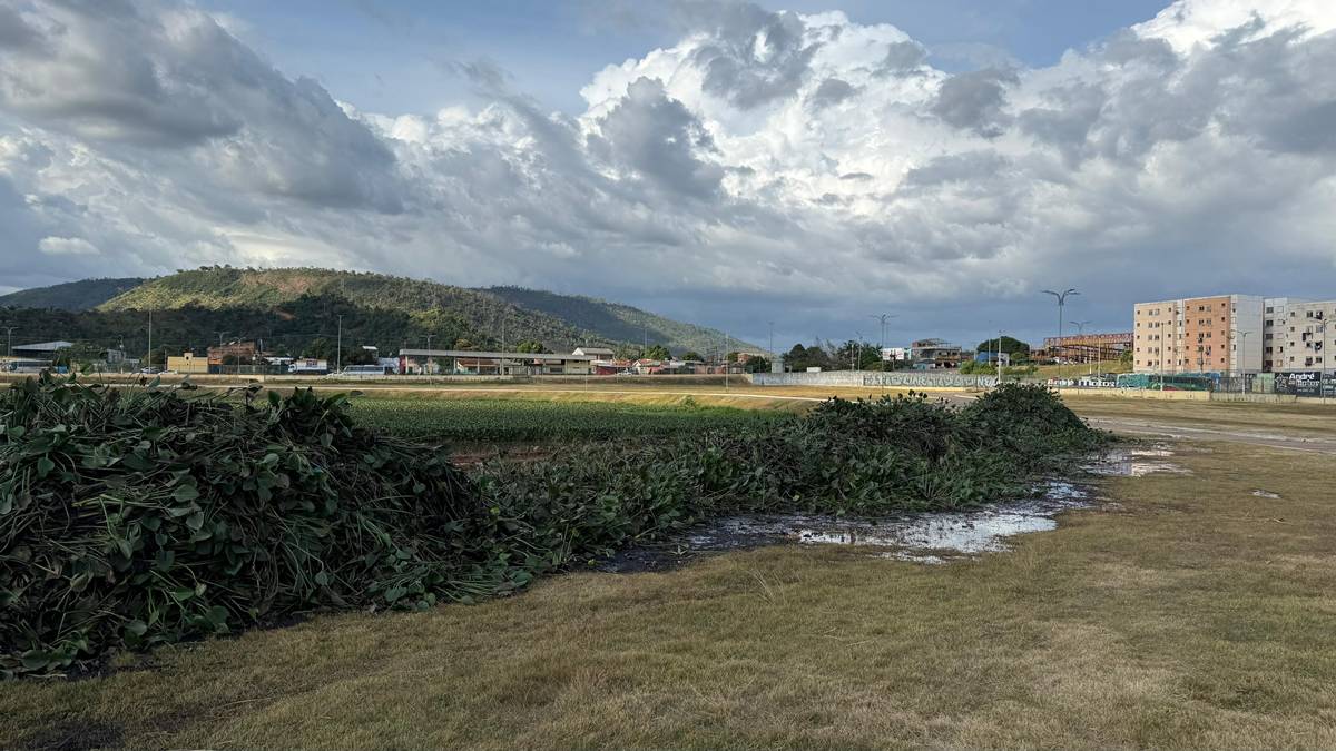 Foto: Reprodução/Prefeitura de Parauapebas - PA