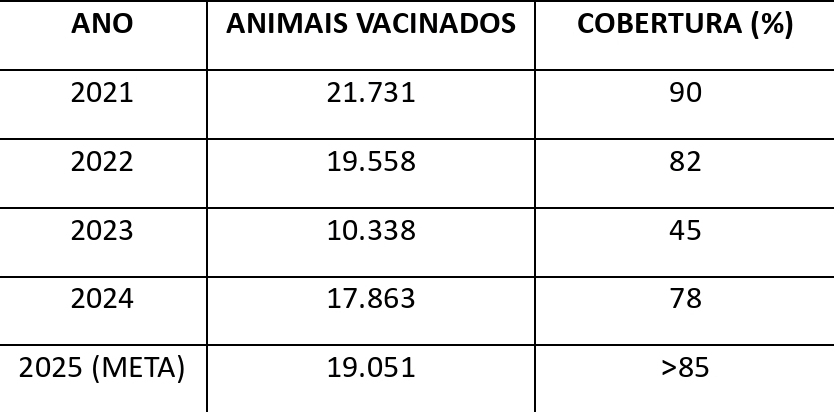 Foto: Reprodução/Prefeitura de Parauapebas - PA