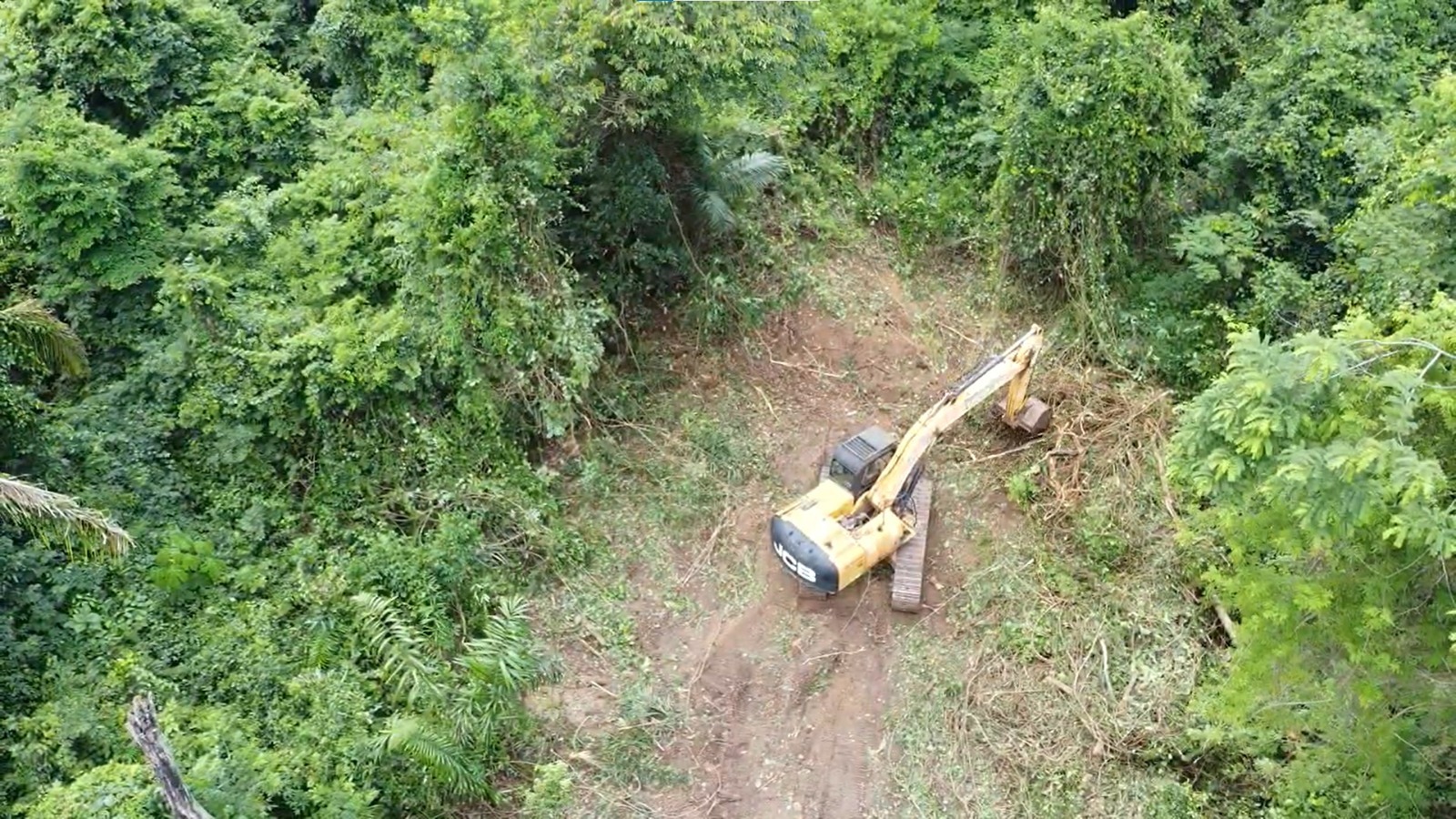 Foto: Reprodução/Prefeitura de Parauapebas - PA