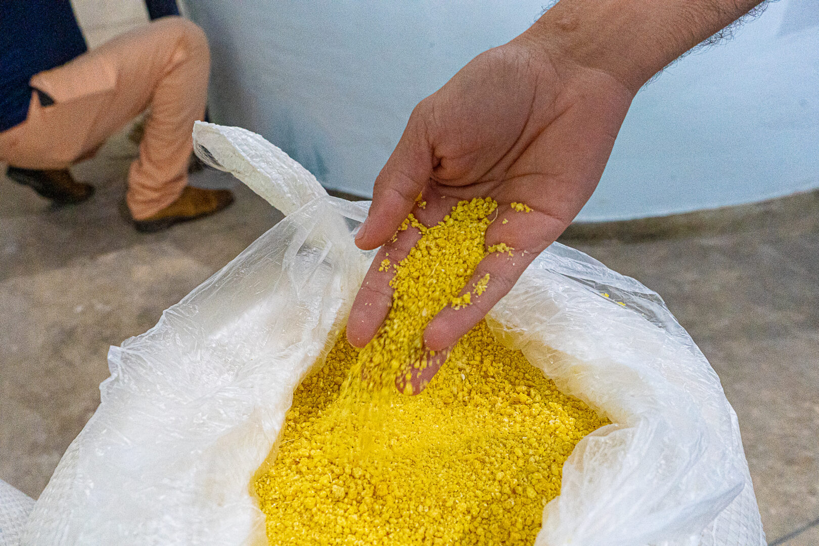 Foto: Reprodução/Prefeitura de Parauapebas - PA