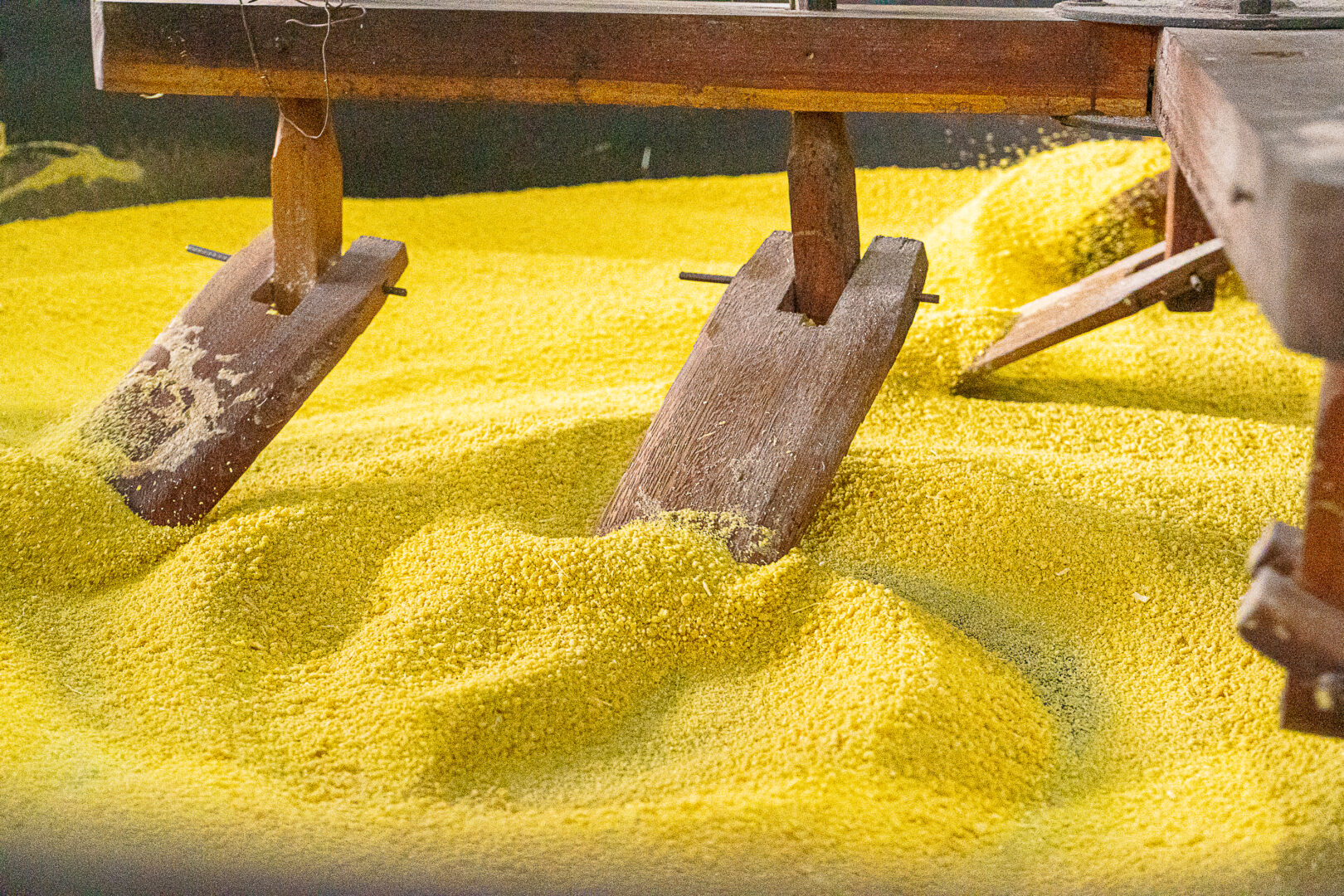 Foto: Reprodução/Prefeitura de Parauapebas - PA