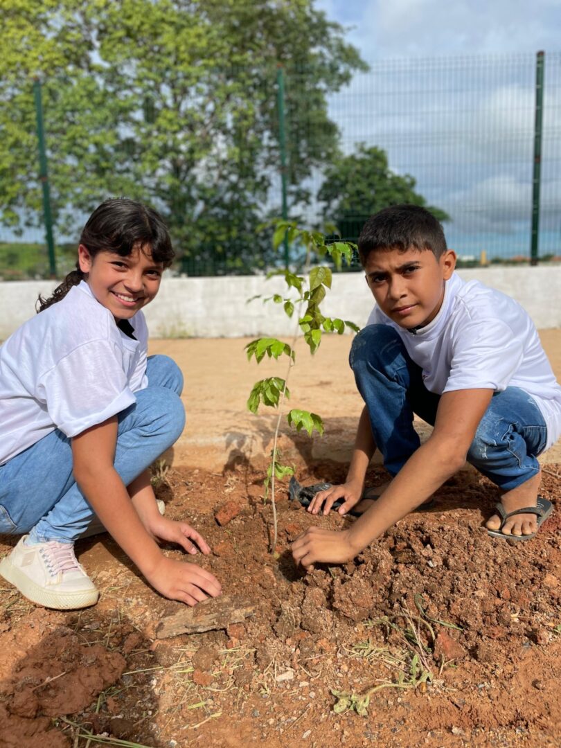 Foto: Reprodução/Prefeitura de Parauapebas - PA