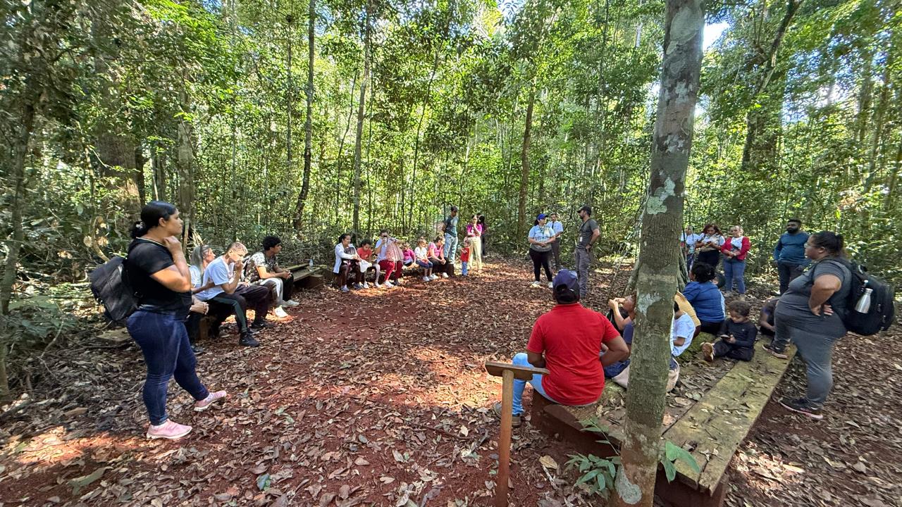 Foto: Reprodução/Prefeitura de Parauapebas - PA
