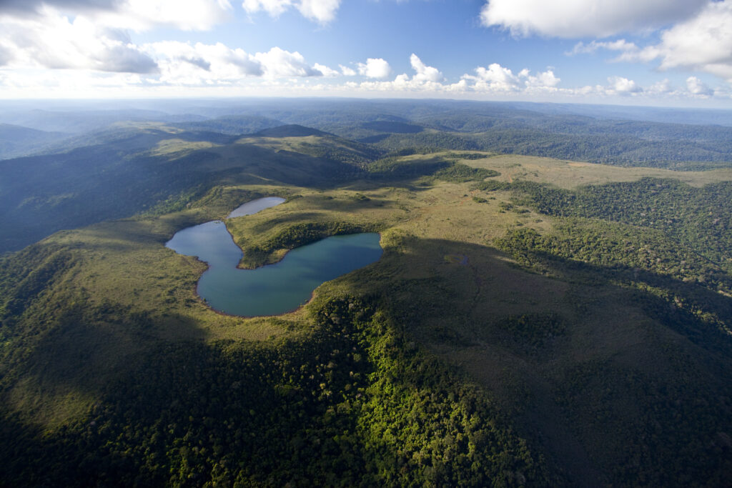 Foto: Reprodução/Prefeitura de Parauapebas - PA