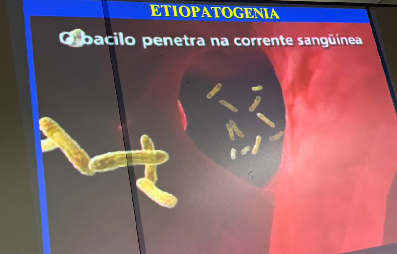 Foto: Reprodução/Prefeitura de Parauapebas - PA