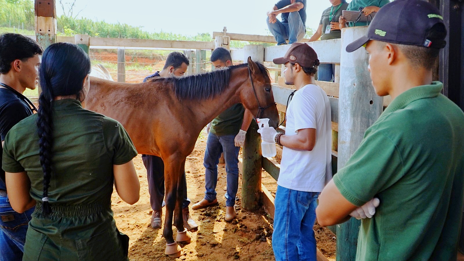 Foto: Reprodução/Prefeitura de Parauapebas - PA