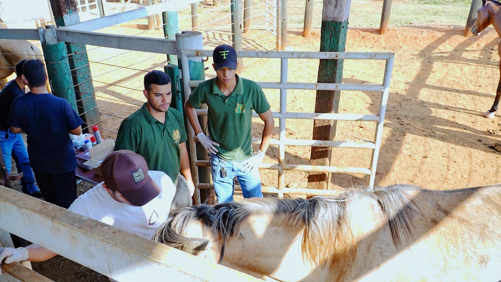 Foto: Reprodução/Prefeitura de Parauapebas - PA