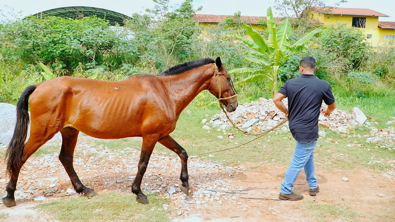 Foto: Reprodução/Prefeitura de Parauapebas - PA