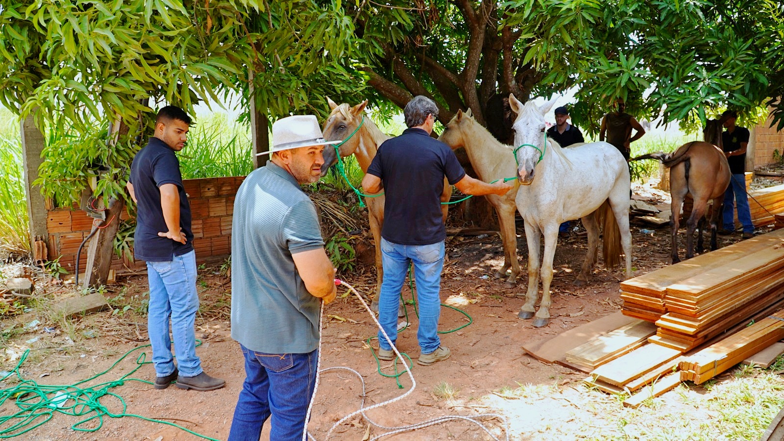 Foto: Reprodução/Prefeitura de Parauapebas - PA